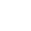 Icono 2
